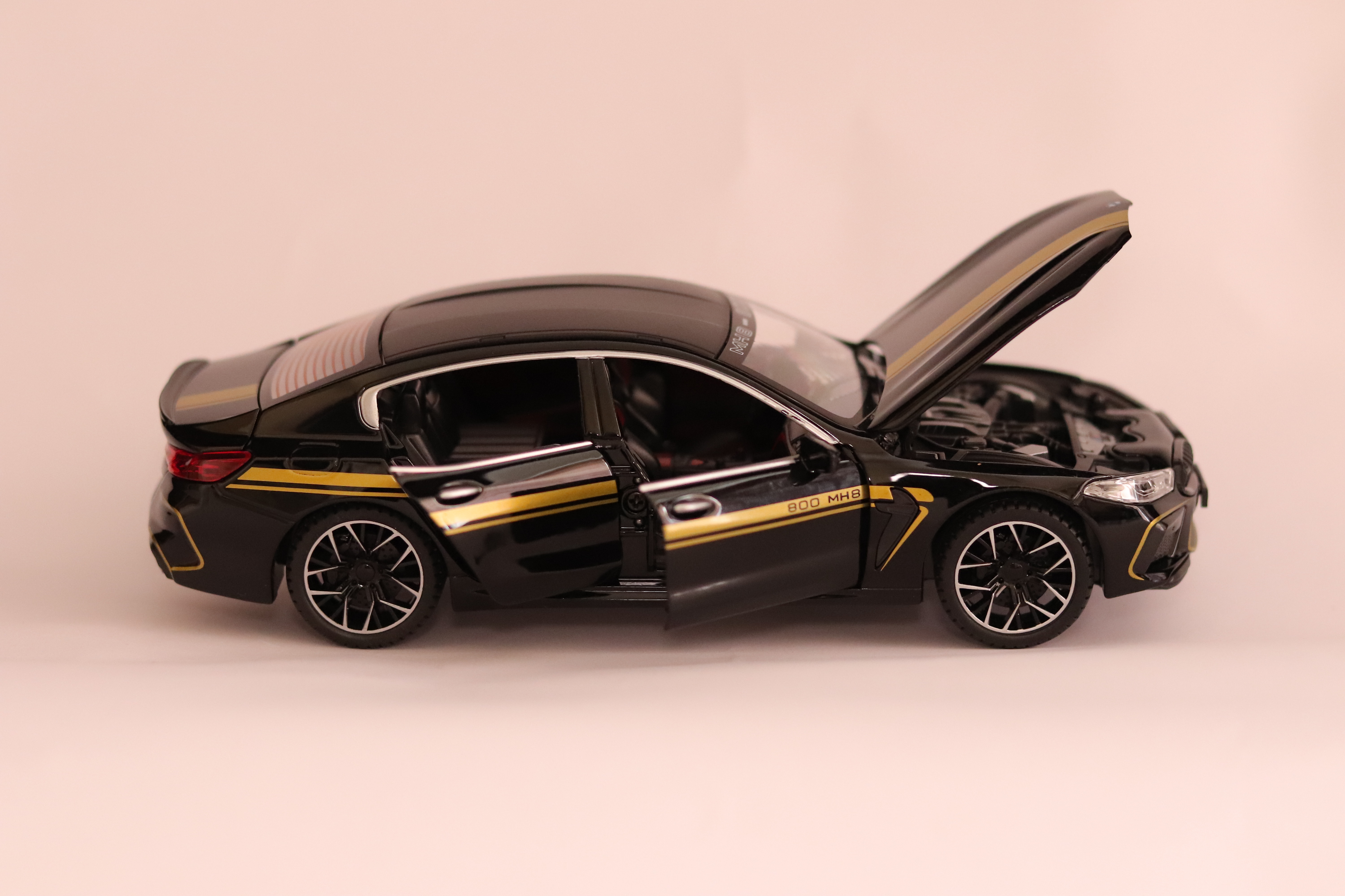 BMW MH08 800 (B/W) 7